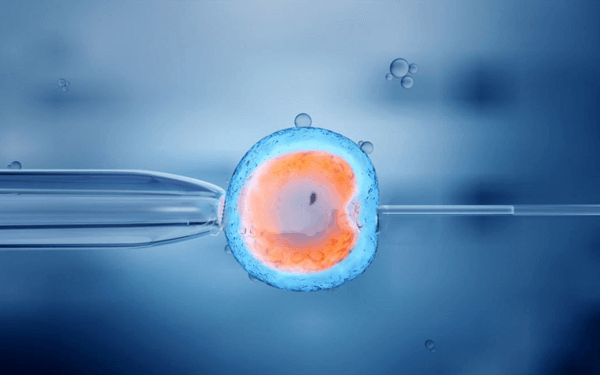 试管的胚胎等级是怎么划分的呢？