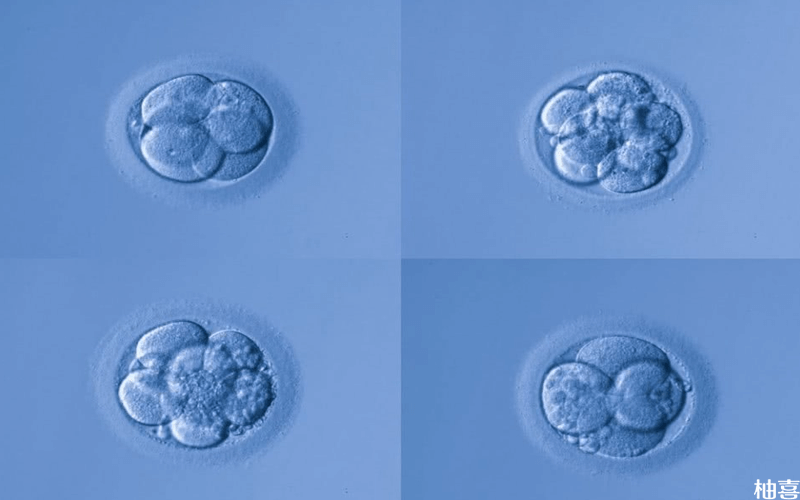 9细胞成功率与胚胎等级有关