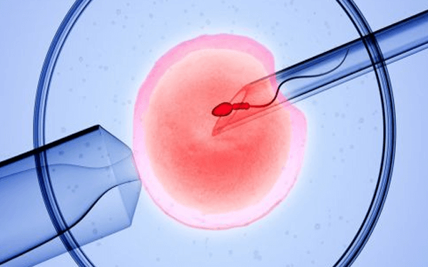 求姐妹们分享一下试管鲜胚移植的成功经验？
