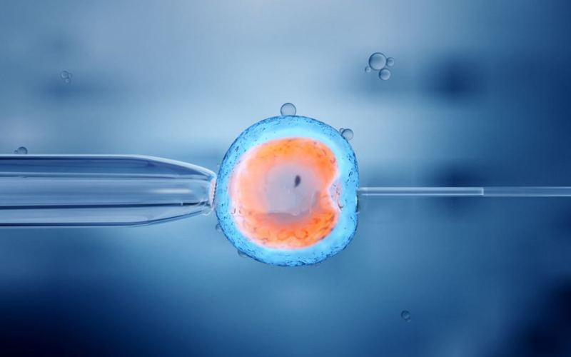 4BC的囊胚质量一般