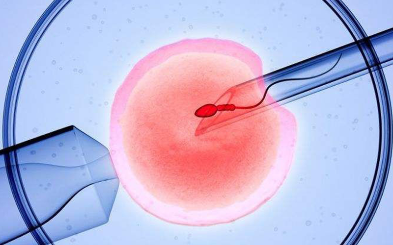 胚胎移植前需要做宫腔镜检查