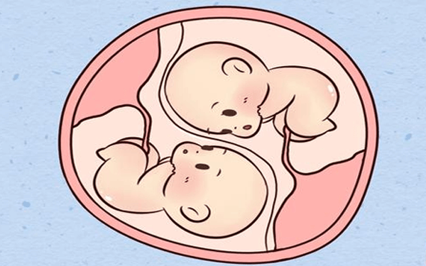 有哪些胎梦是在暗示会生双胞胎？