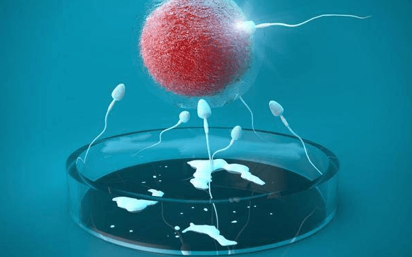 移植囊胚后生男宝宝的概率大概有多少？