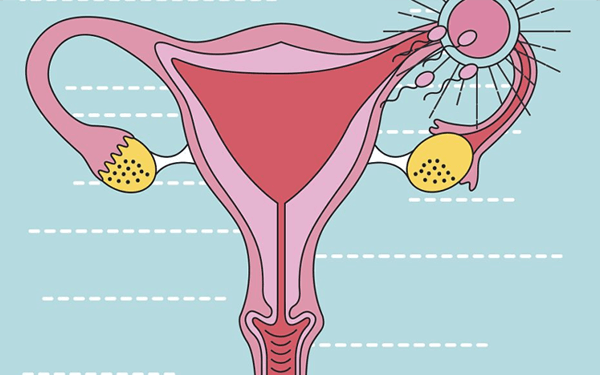 后位子宫怎么容易怀孕？求科学的同房姿势图？