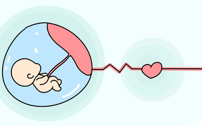 两个胚胎移植成活率