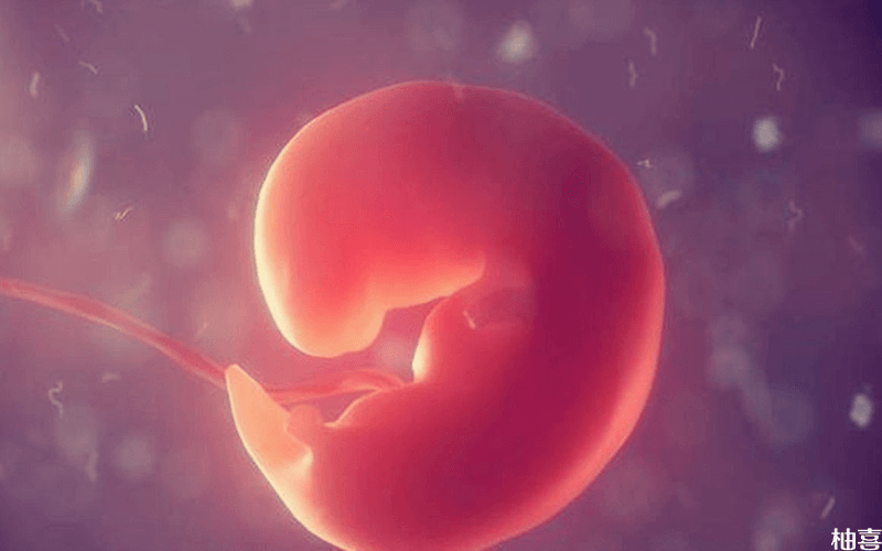 胎芽数据可以看胎儿性别