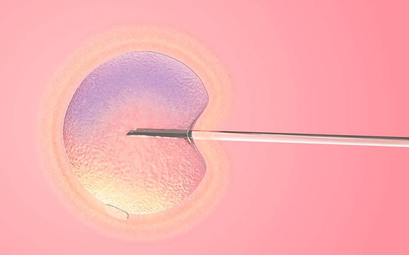 胚后分化成两个胚胎的几率不大
