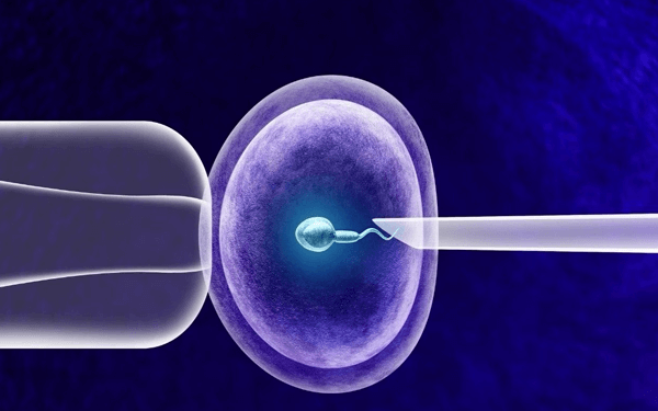 精子dna的完整性较差怎么改善比较科学？