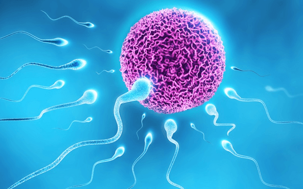 做人工授精对男性的精子有哪些硬性要求？
