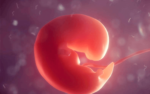 怀孕8-9周有胎心没胎芽还有希望保住吗？