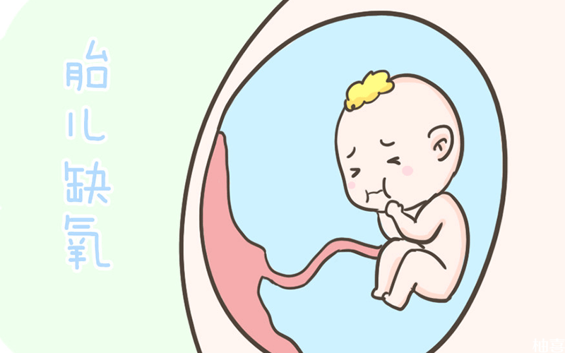 胎儿缺氧发生胎停的时间