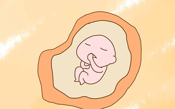 为什么孕晚期的胎儿偶尔一两天都不爱动?