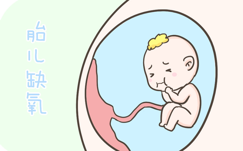 胎儿不爱动可能是缺氧导致的