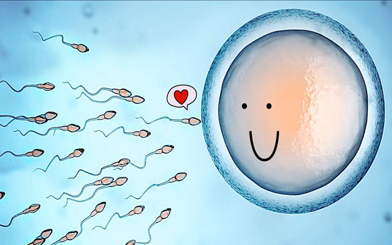 胚胎成功着床的迹象