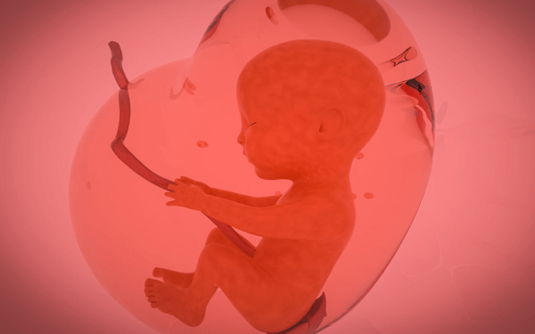 试管婴儿意外怀上双胞胎究竟要不要考虑减胎？