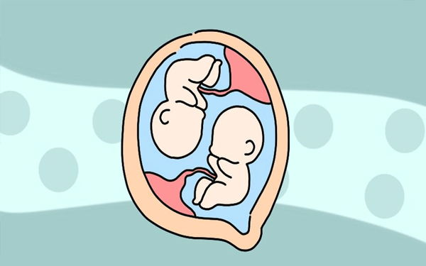 生双胞胎是由谁决定的？男方还是女方？