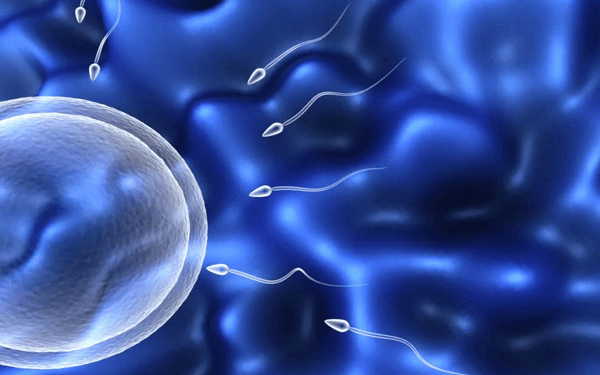 想要顺利怀孕是不是主要靠a类精子的质量？