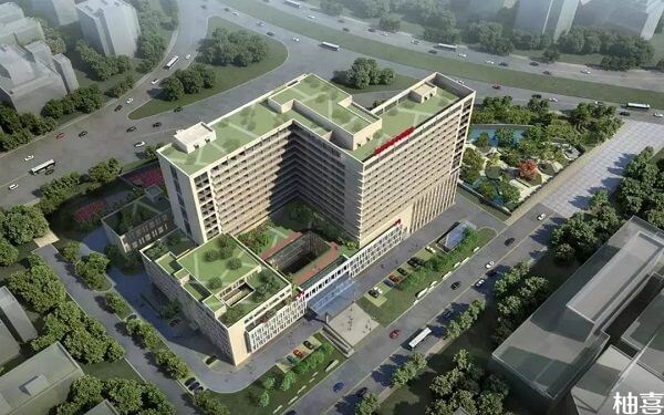 2023杭州市滨江医院试管婴儿明细表（附助孕成功率）