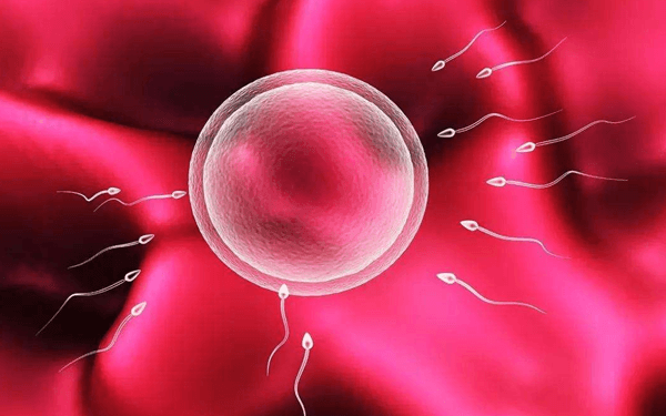 2023朔州有哪几家医院能做供卵试管婴儿？