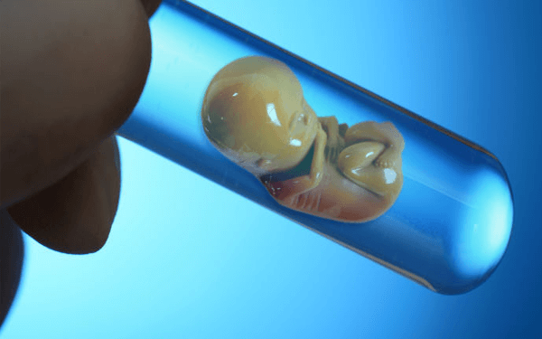 胚胎移植后的黄金48小时都必须得躺着吗？