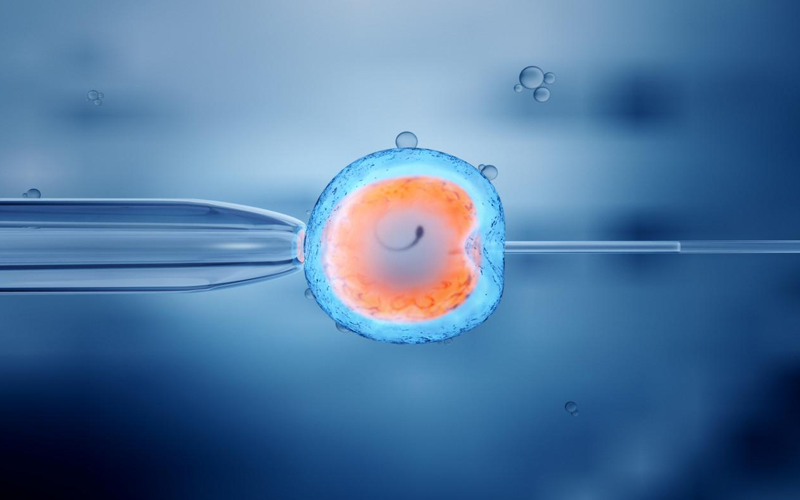 胚胎的遗传物质来自父母双方