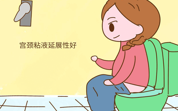 孕期怎样确认自己是否有宫颈粘液栓？