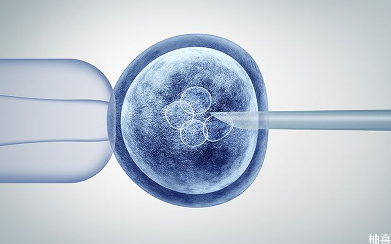 三级八细胞的胚胎质量不算差