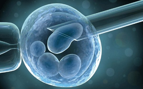 试管移植3bb囊胚是个男孩还是女孩？