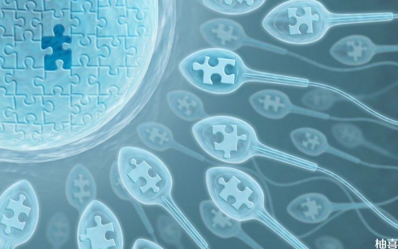 胚胎只有三级可能是男子精子质量差