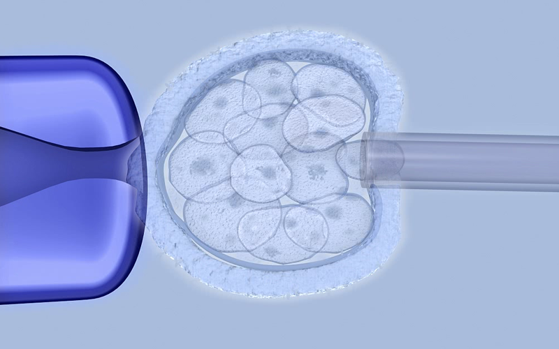 4aa级别的囊胚属于一级胚胎