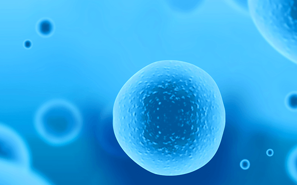试管婴儿优质胚胎养囊成功率大概有多少？