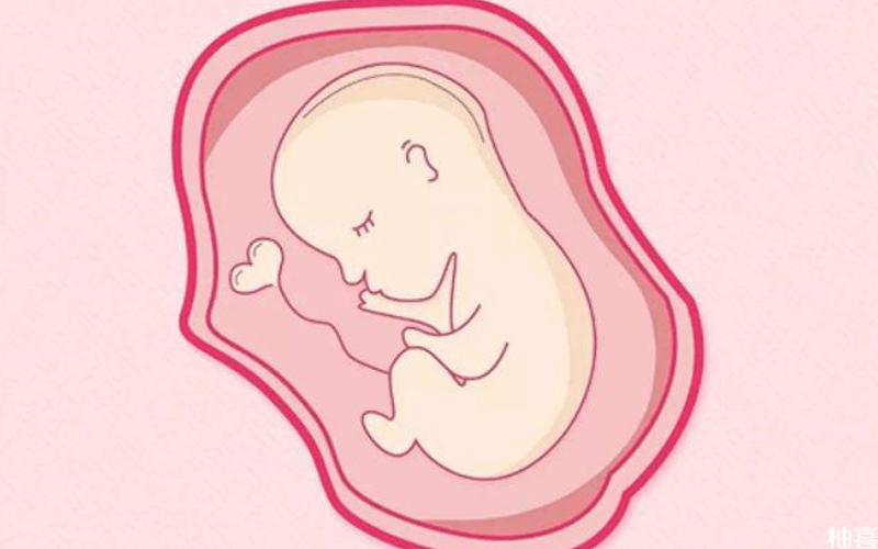 移植囊胚选择自然周期还是人工周期