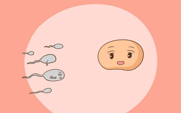 在广州有精子库的医院申请供精试管婴儿的条件有哪些？