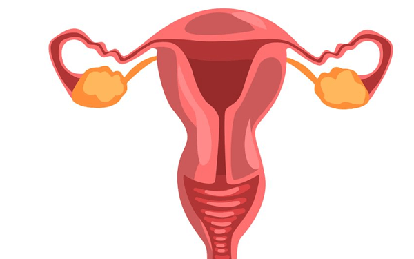 子宫内膜增厚做刮宫手术等于小产一次吗？