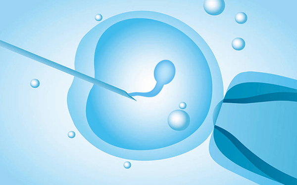 两个不同等级的胚胎可以同时移植吗?