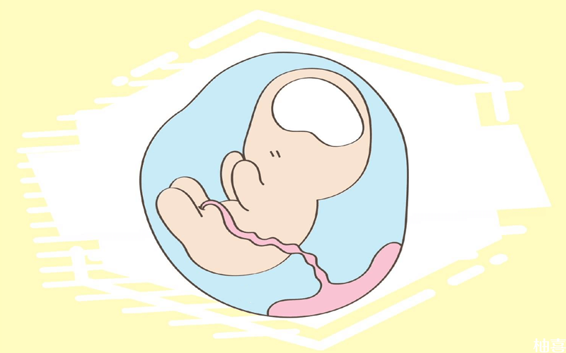 孕妈妈肚子里的胎宝宝