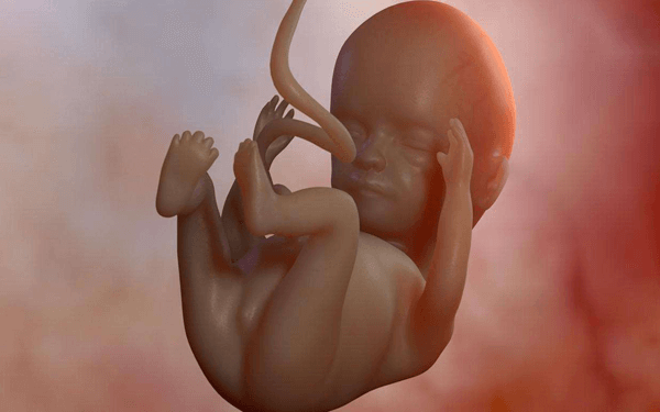 怀孕1-40周胎儿是怎么发育的？求分享过程图！
