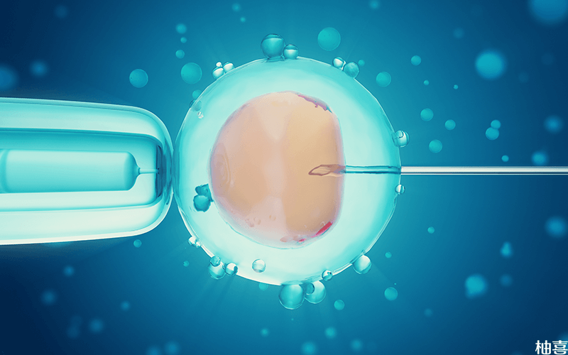 鲜胚移植尽量采用长方案
