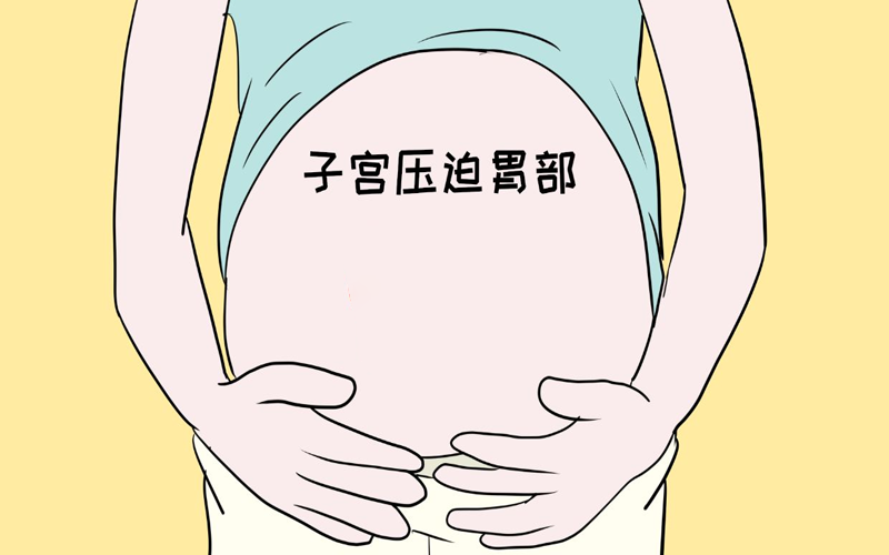 孕晚期增大的子宫会压迫胃部