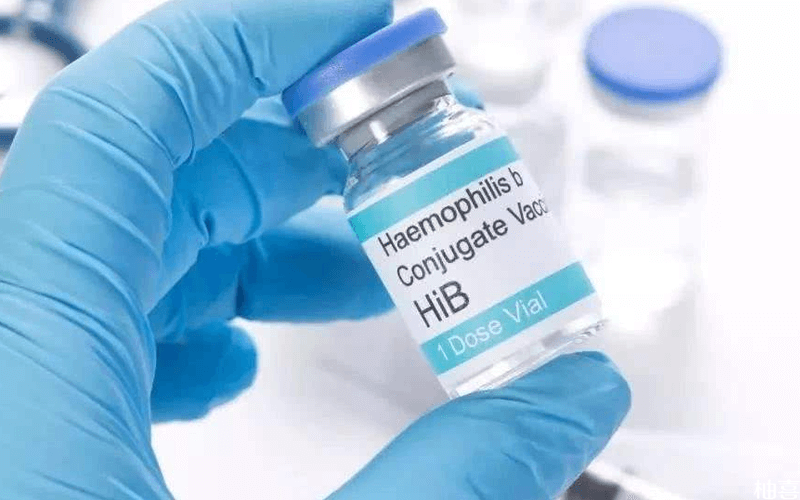 hib疫苗