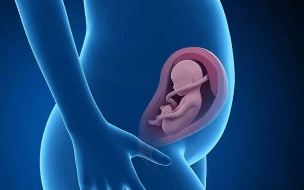 胎儿偏小1周吃什么食物能长胎最快？