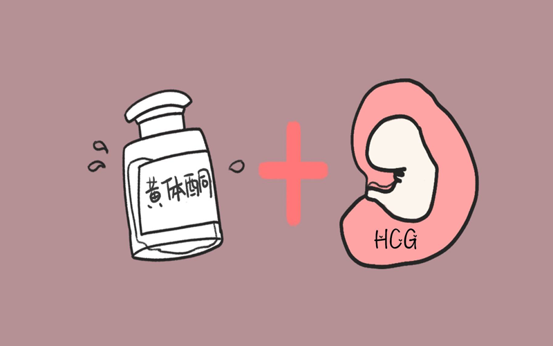 只有孕酮和hcg都正常才能保证怀孕的安全