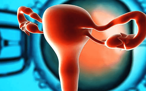 恢复卵巢功能的中成药众多，辩证论治用药效果更好