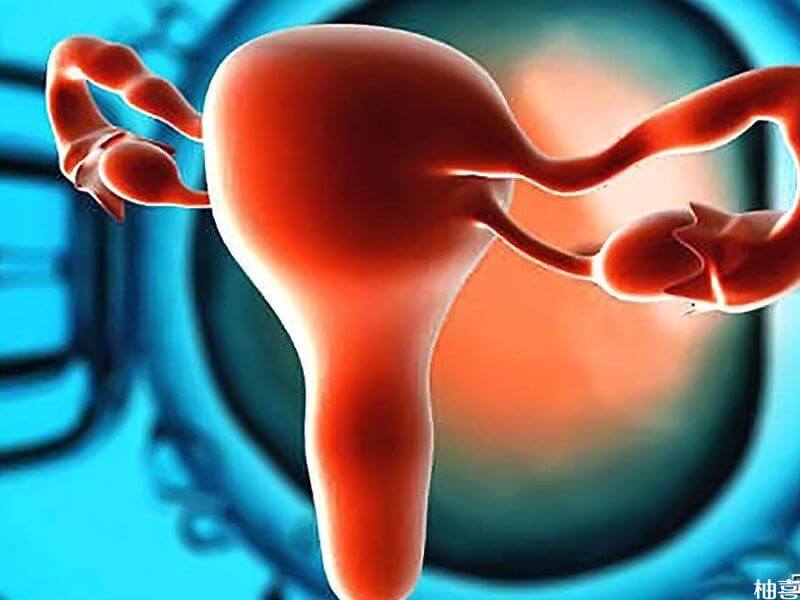 AMH值是评估卵巢功能的指标