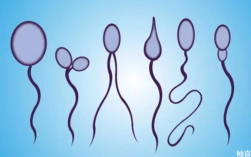 二代试管对精子形态有要求