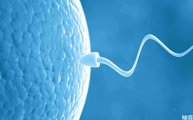 二代试管对精子存活率有要求