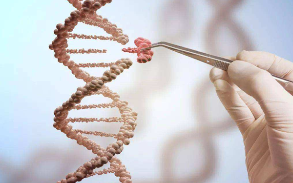 dna基因检测有多少种方式？