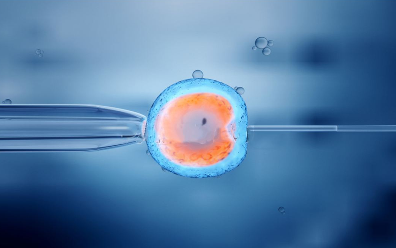 冻胚移植生女孩比生男孩多的说法并不科学