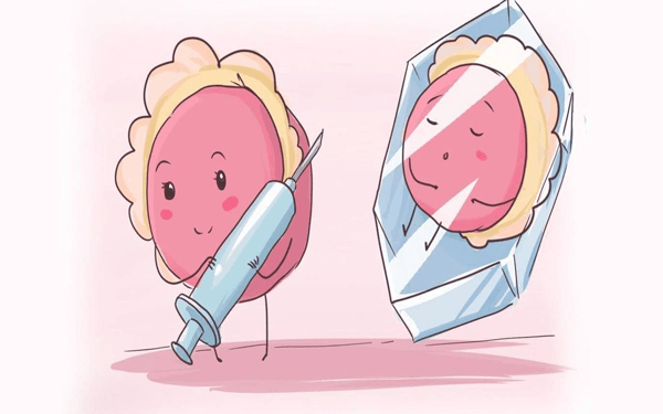 为什么说冻胚移植生女孩比生男孩多？