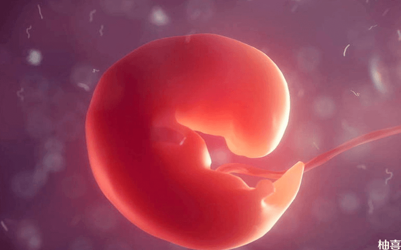 胎芽长到一定程度时可以验血查出怀男还是怀女